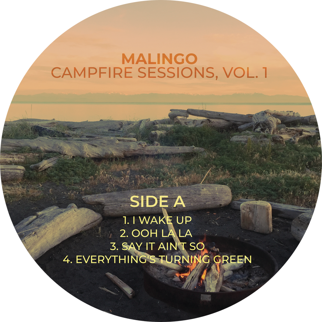 LIMITED EDITION: Campfire Sessions, Vol. 1 on Vinyl - autographed by ALL FIVE band members!