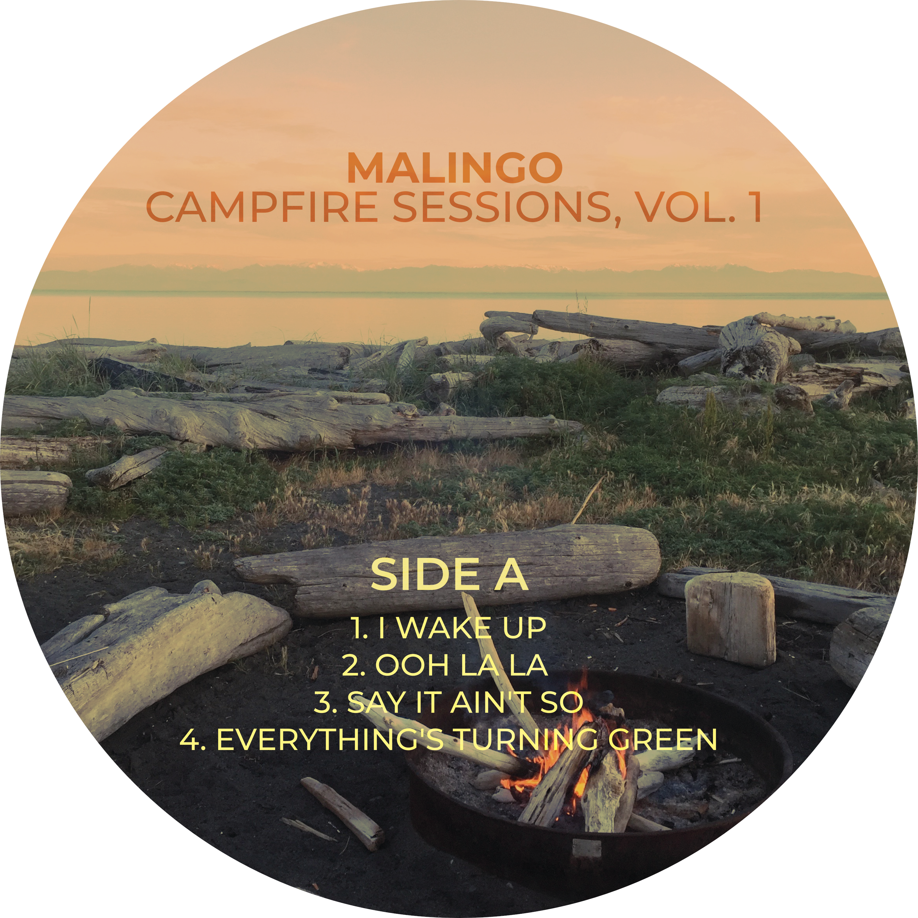 LIMITED EDITION: Campfire Sessions, Vol. 1 on Vinyl - autographed by ALL FIVE band members!
