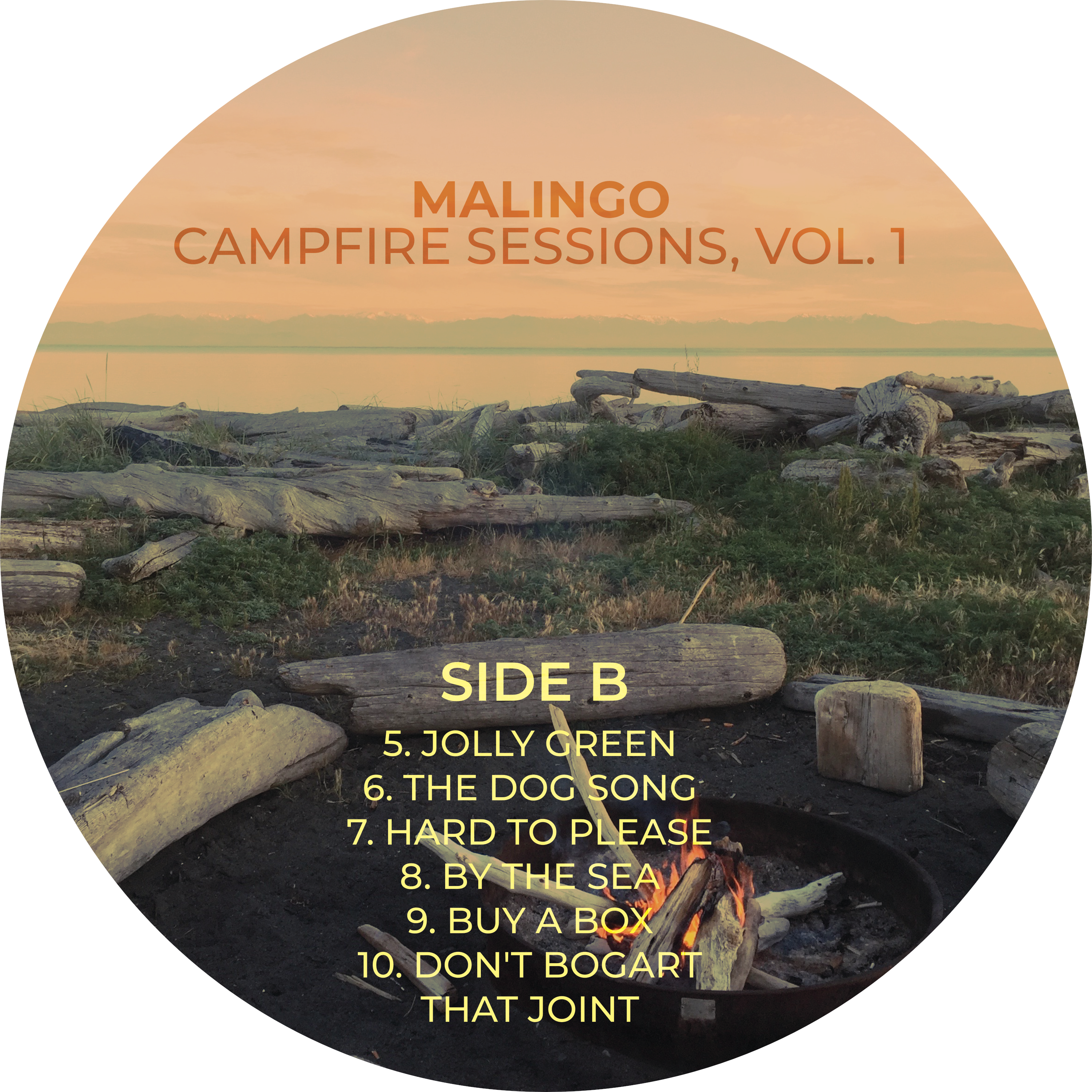 LIMITED EDITION: Campfire Sessions, Vol. 1 on Vinyl - autographed by ALL FIVE band members!