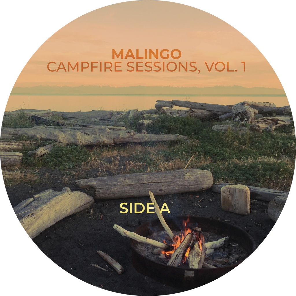 LIMITED EDITION PREORDER: Campfire Sessions, Vol. 1 on Vinyl - autographed by ALL FIVE band members!