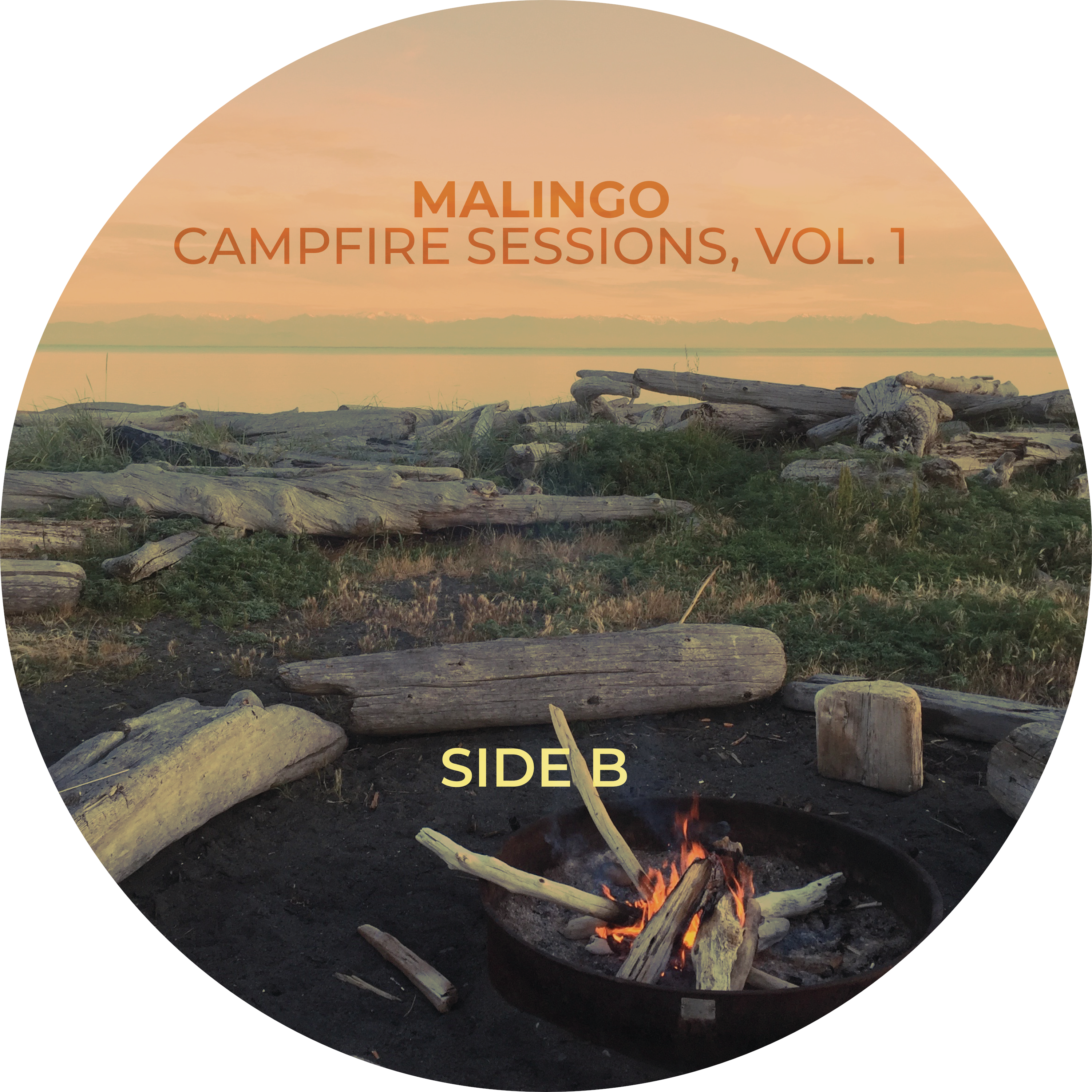 LIMITED EDITION PREORDER: Campfire Sessions, Vol. 1 on Vinyl - autographed by ALL FIVE band members!
