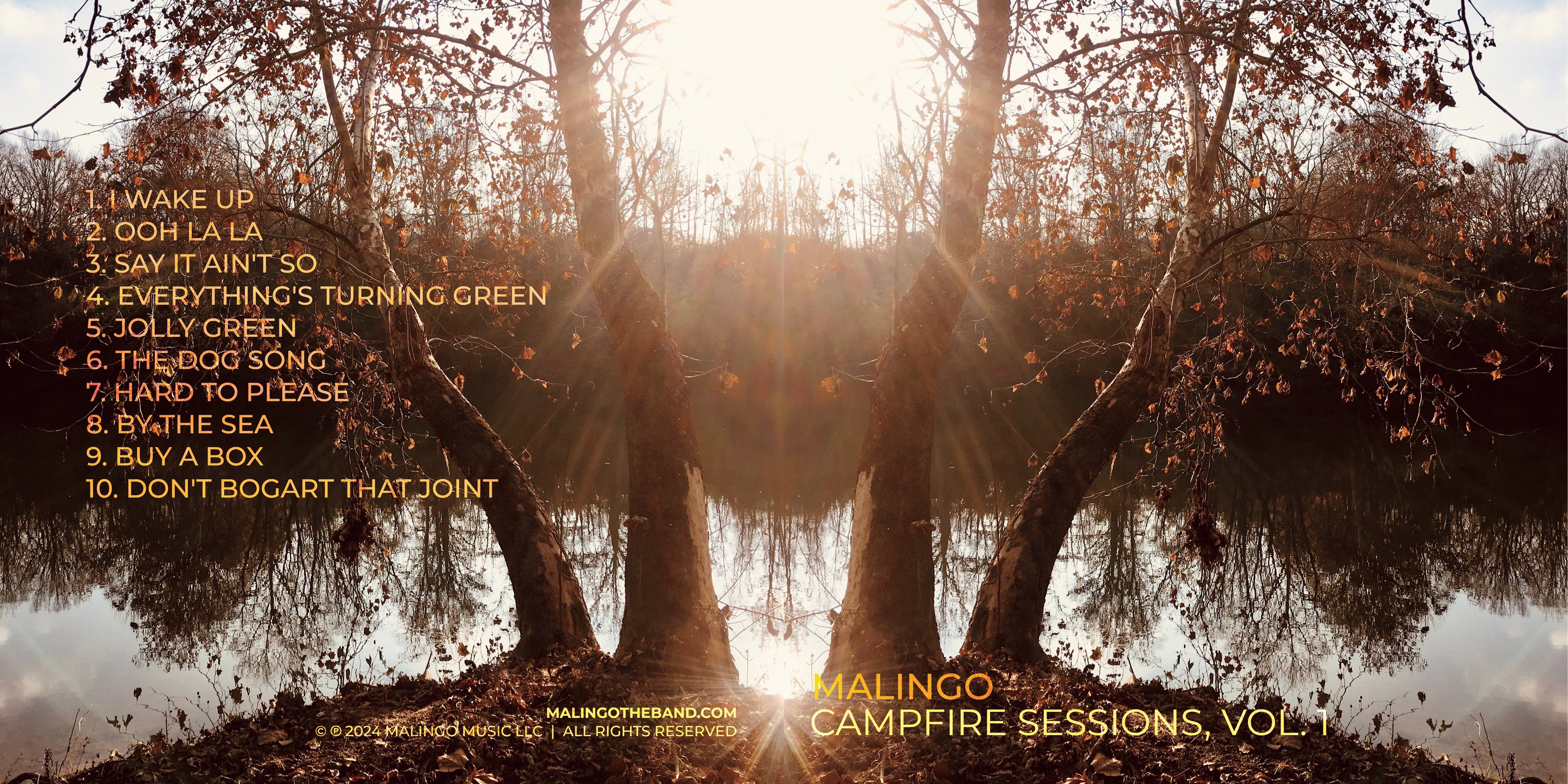 LIMITED EDITION PREORDER: Campfire Sessions, Vol. 1 on Vinyl - autographed by ALL FIVE band members!