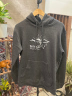 Chase the Sun Hoodie