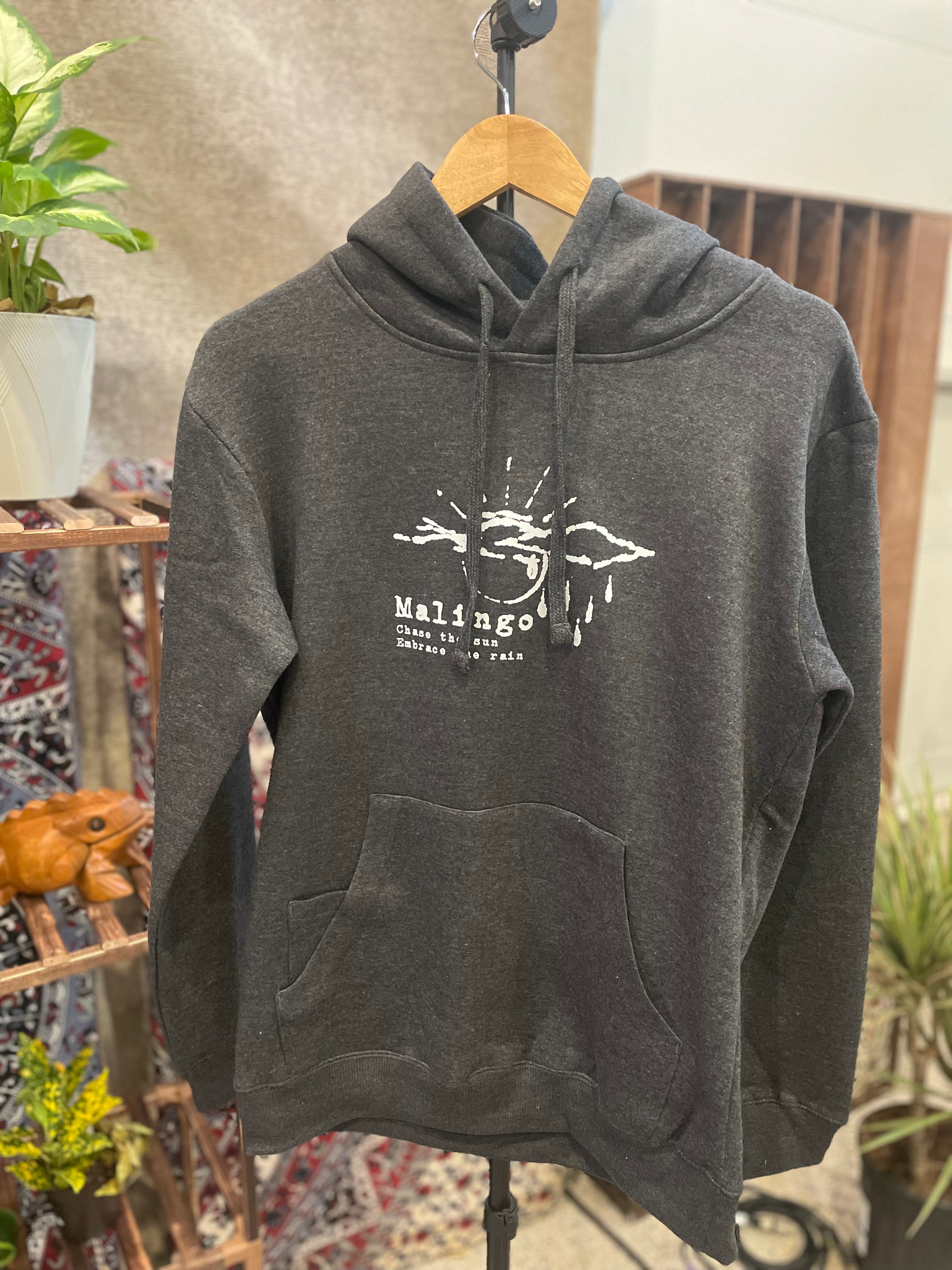 Chase the Sun Hoodie