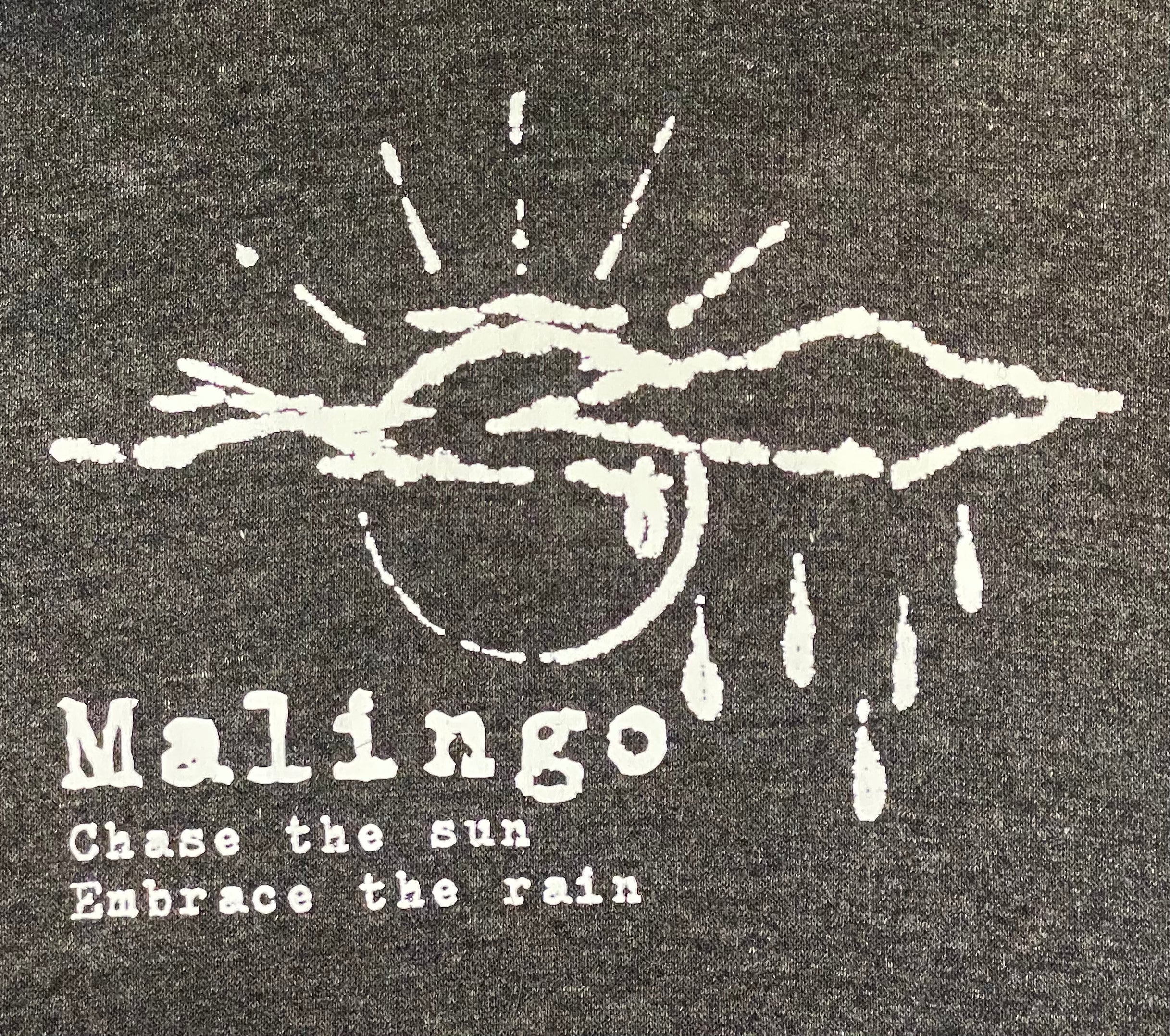 Chase the Sun Hoodie