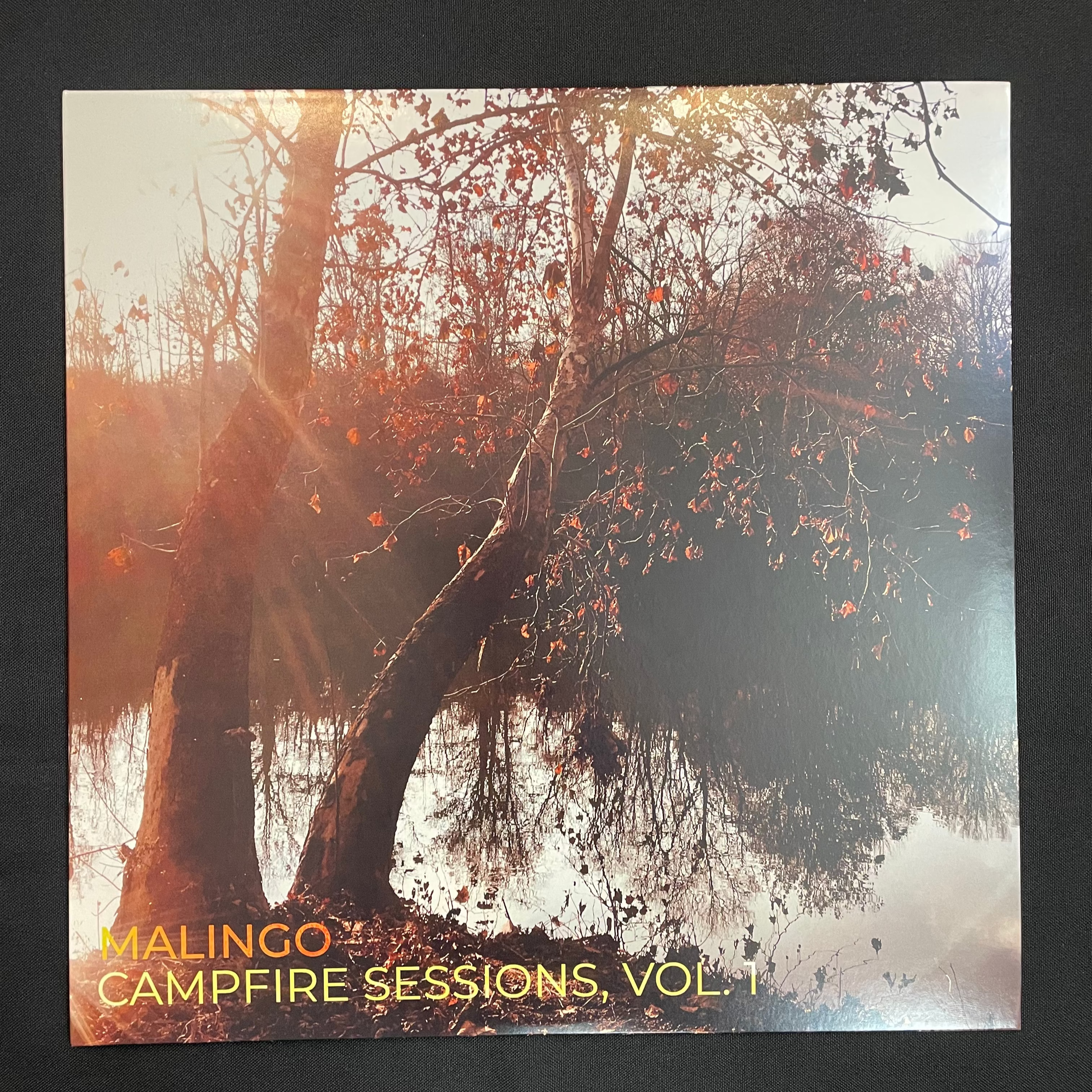 Campfire Sessions, Vol. 1 on Vinyl