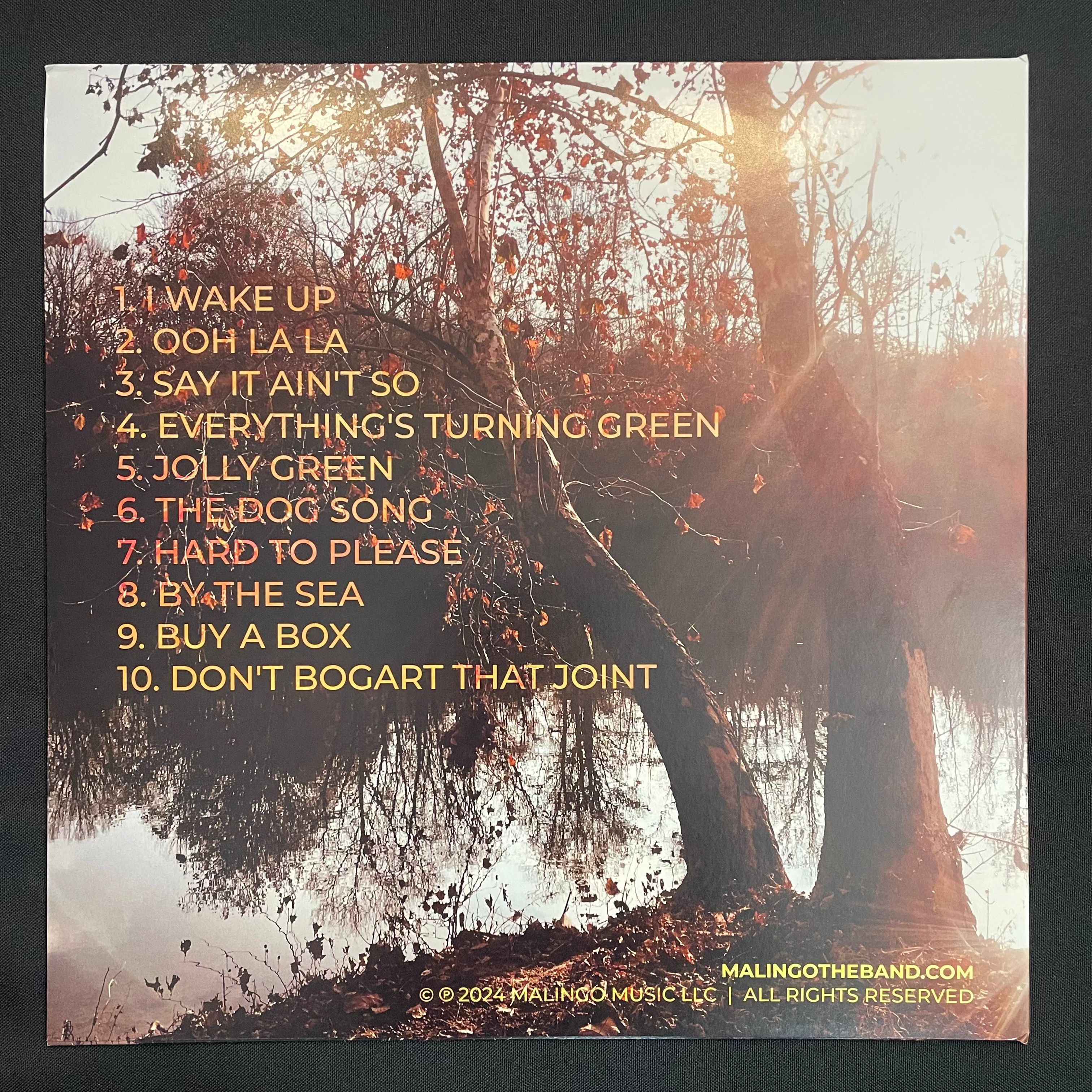 Campfire Sessions, Vol. 1 on Vinyl