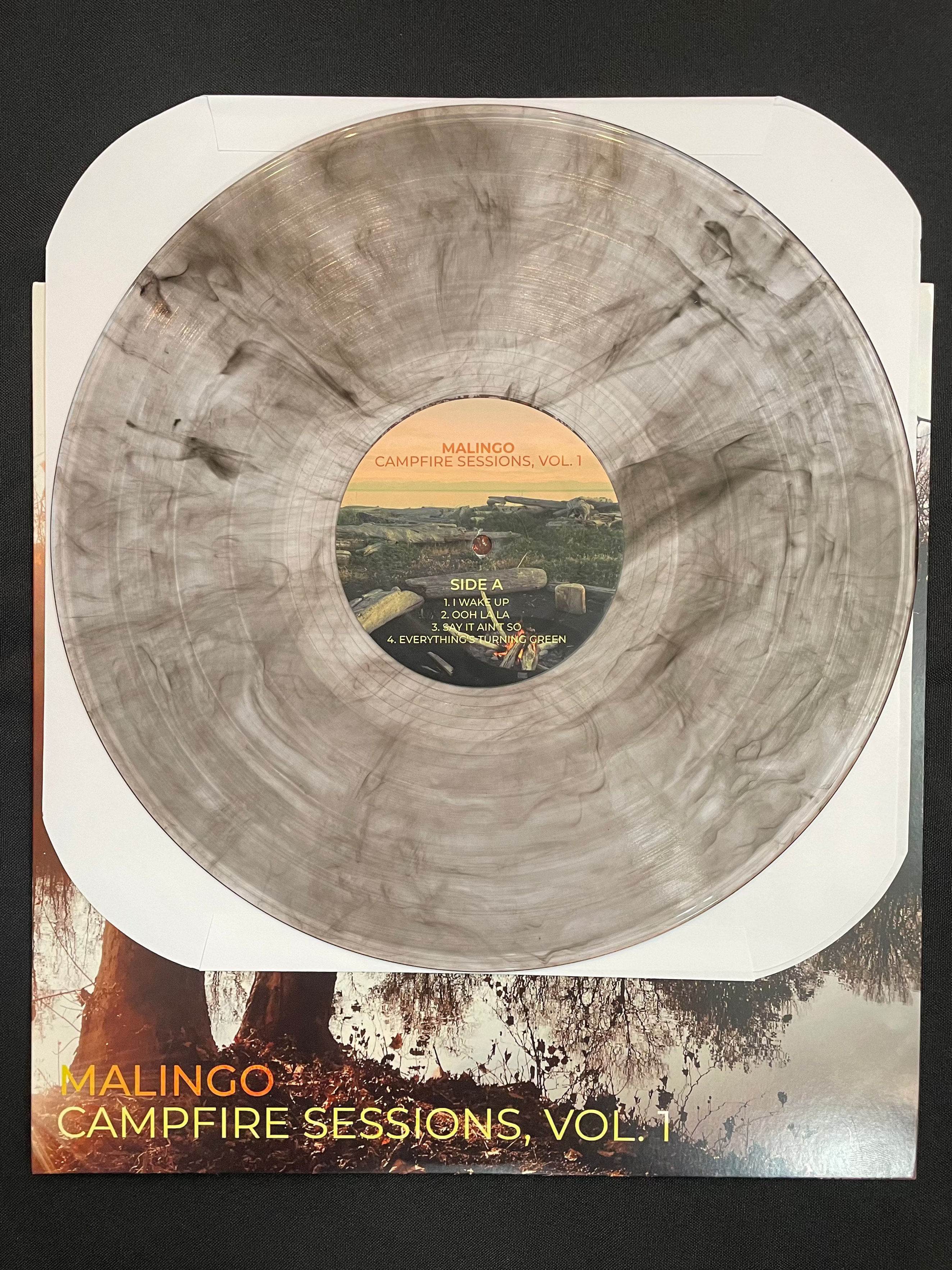 LIMITED EDITION: Campfire Sessions, Vol. 1 on Vinyl - autographed by ALL FIVE band members!