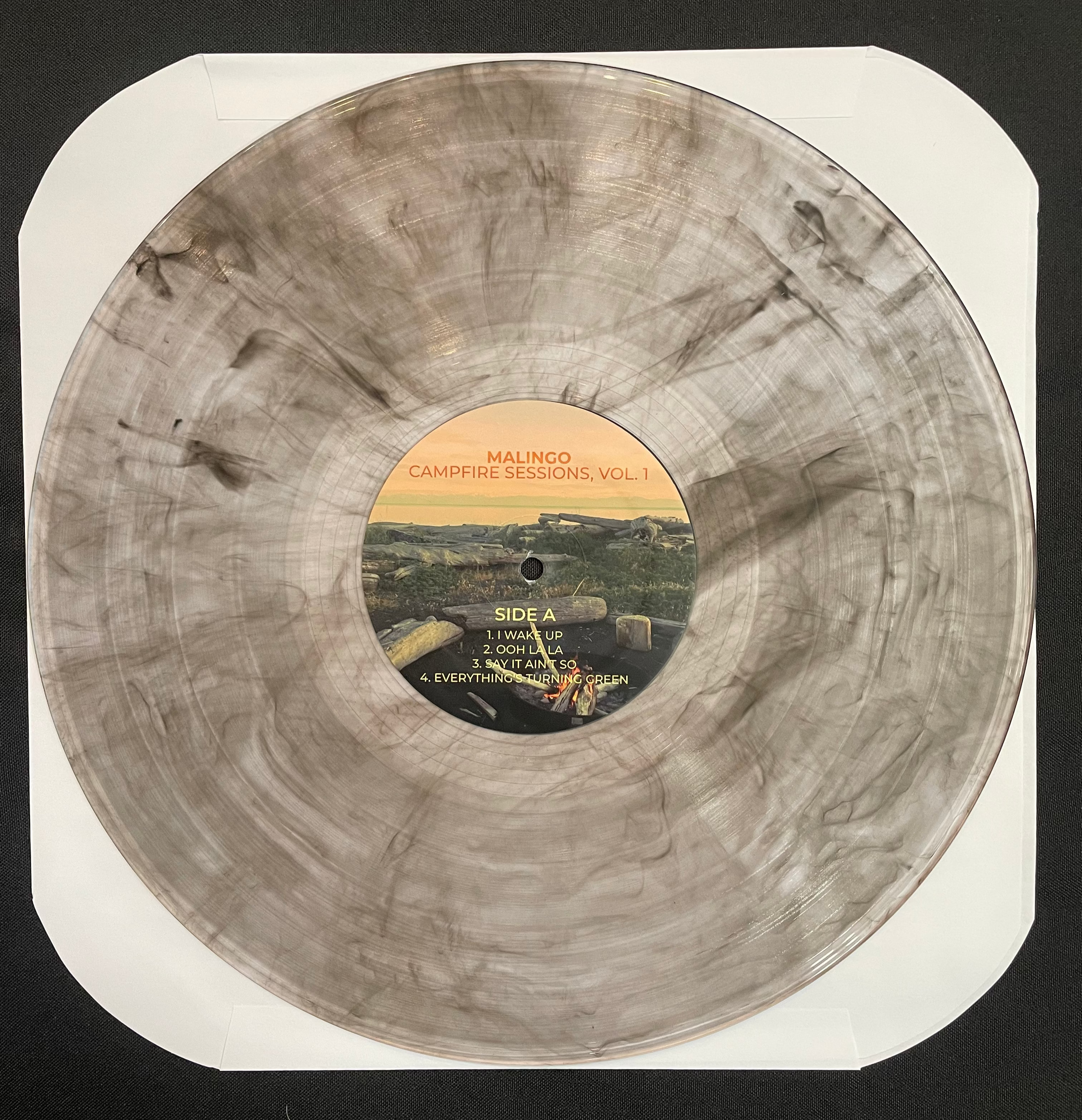 LIMITED EDITION: Campfire Sessions, Vol. 1 on Vinyl - autographed by ALL FIVE band members!