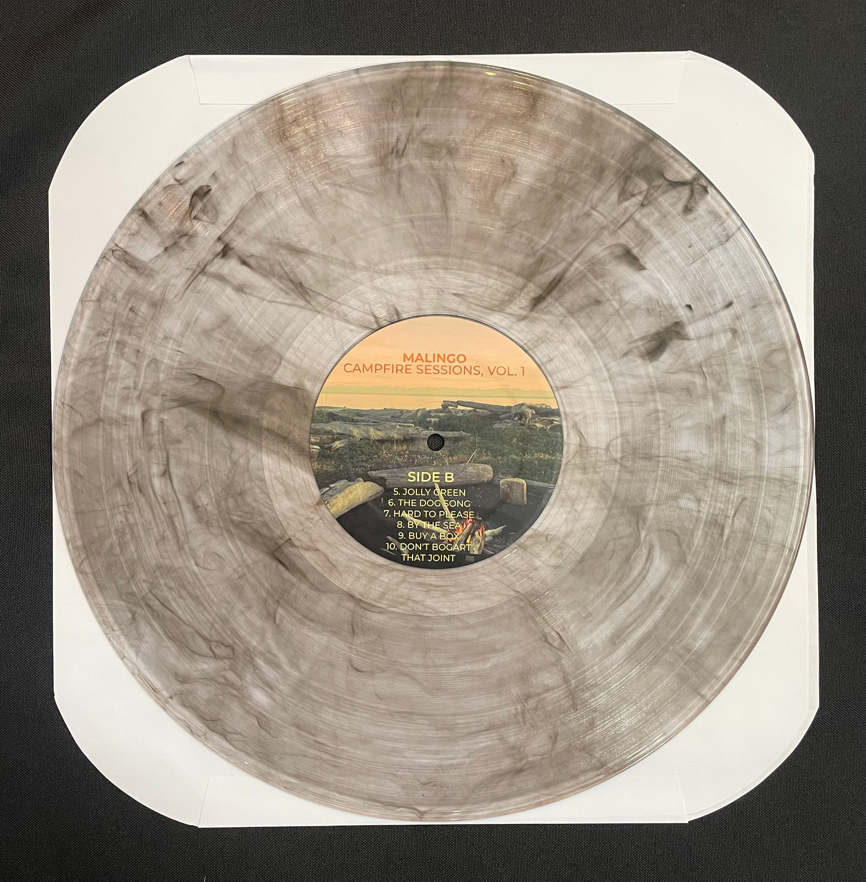 LIMITED EDITION: Campfire Sessions, Vol. 1 on Vinyl - autographed by ALL FIVE band members!