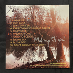 LIMITED EDITION: Campfire Sessions, Vol. 1 on Vinyl - autographed by ALL FIVE band members!