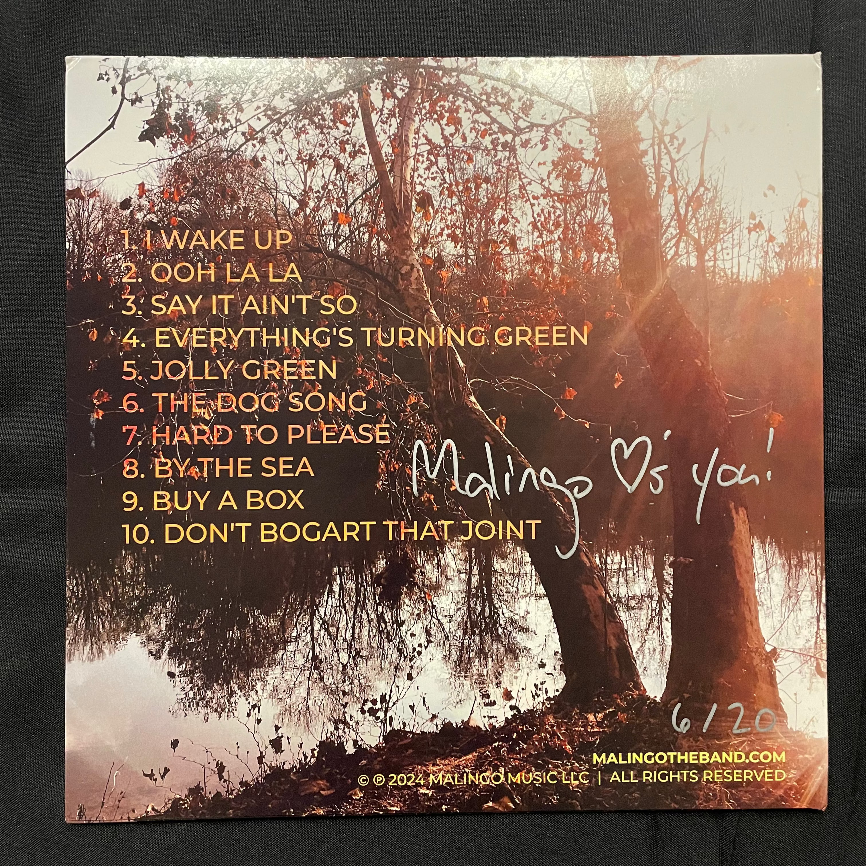 LIMITED EDITION: Campfire Sessions, Vol. 1 on Vinyl - autographed by ALL FIVE band members!