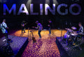 Live at the Palladium Poster