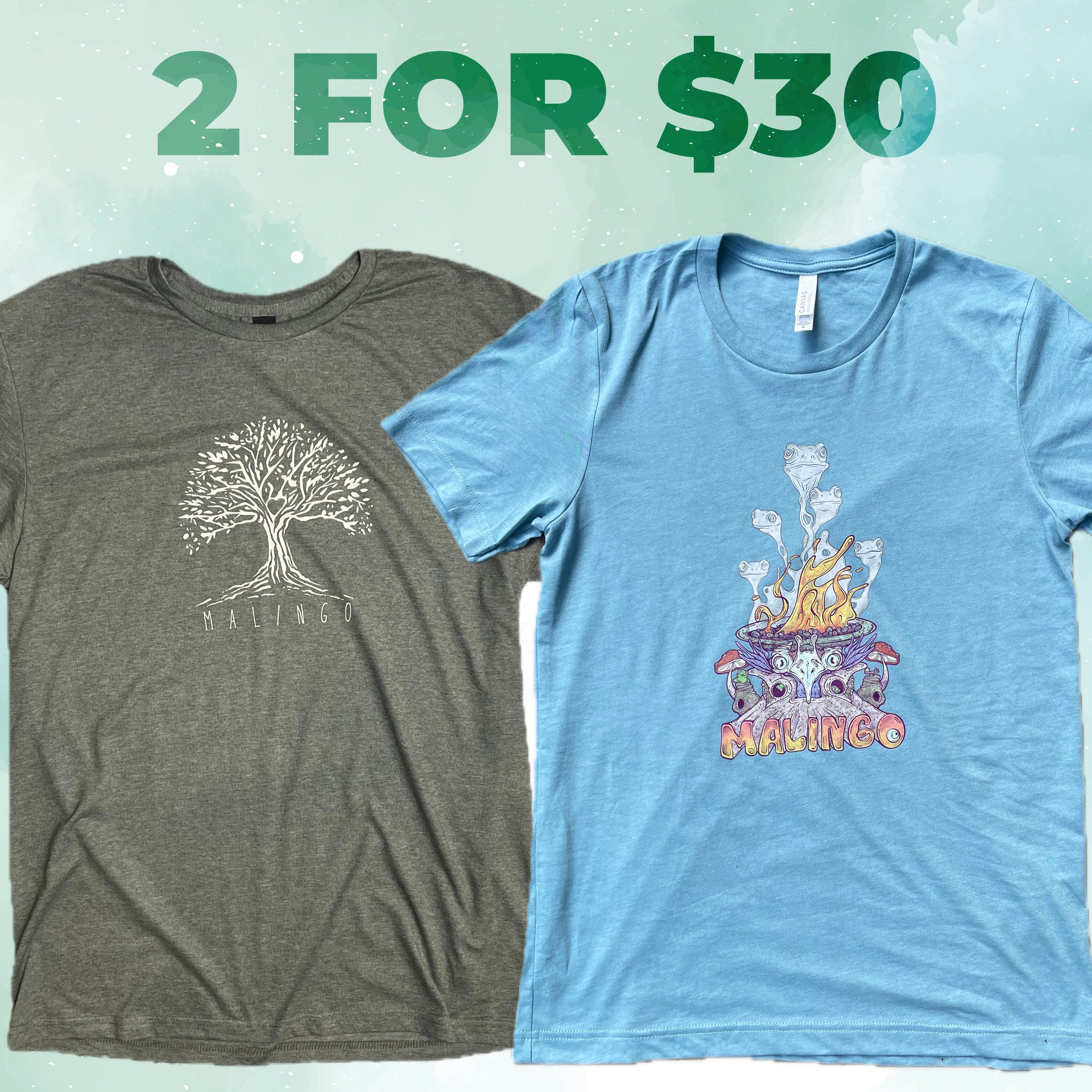 2 Shirt Bundle