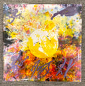 Limited Edition: . (dot) CD Autographed by all 5 band members! - SOLD OUT